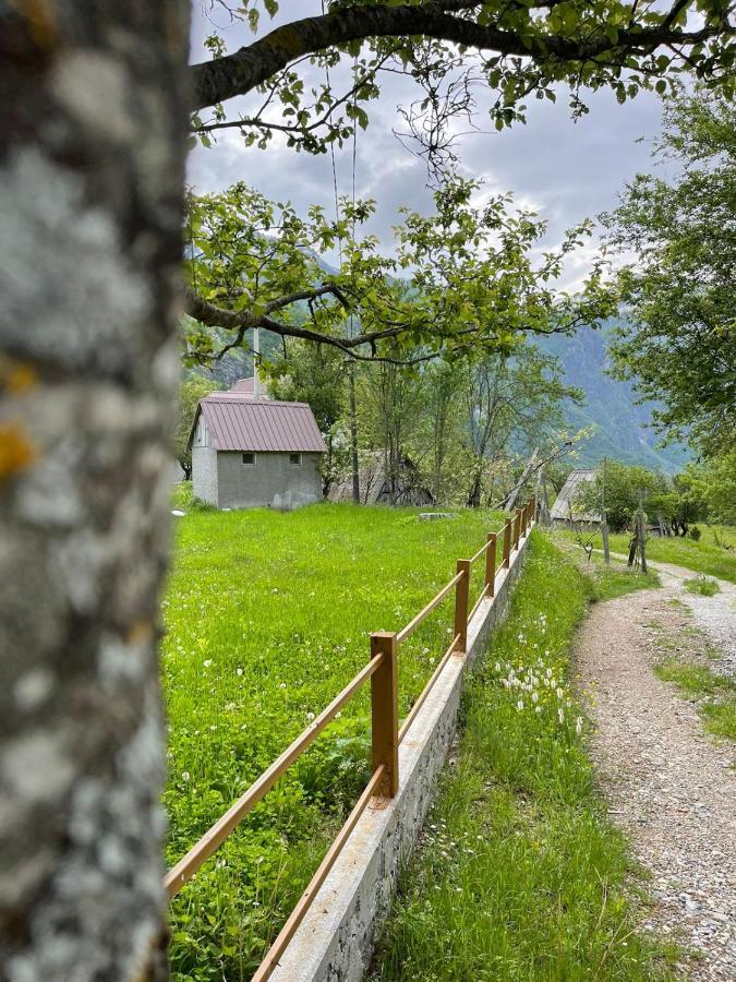 Villa Belinis Theth Eksteriør billede