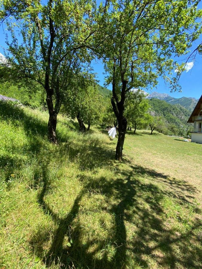 Villa Belinis Theth Eksteriør billede